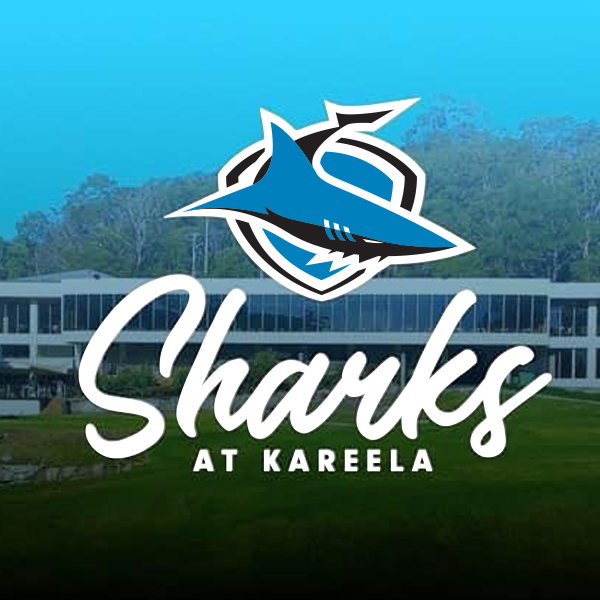 Sharks at Kareela