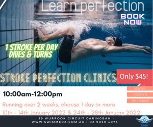 Stroke Perfection Clinics Jan 22