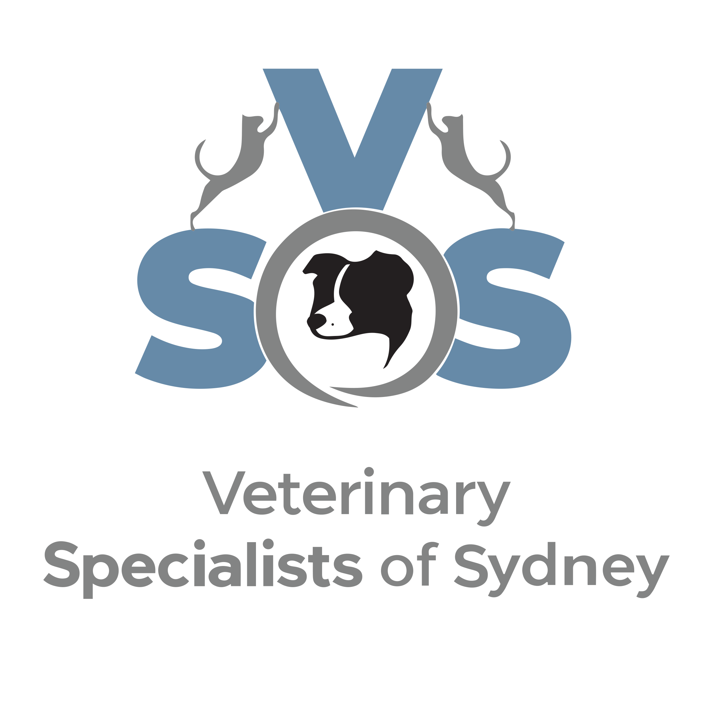 Veterinary Specialists of Sydney